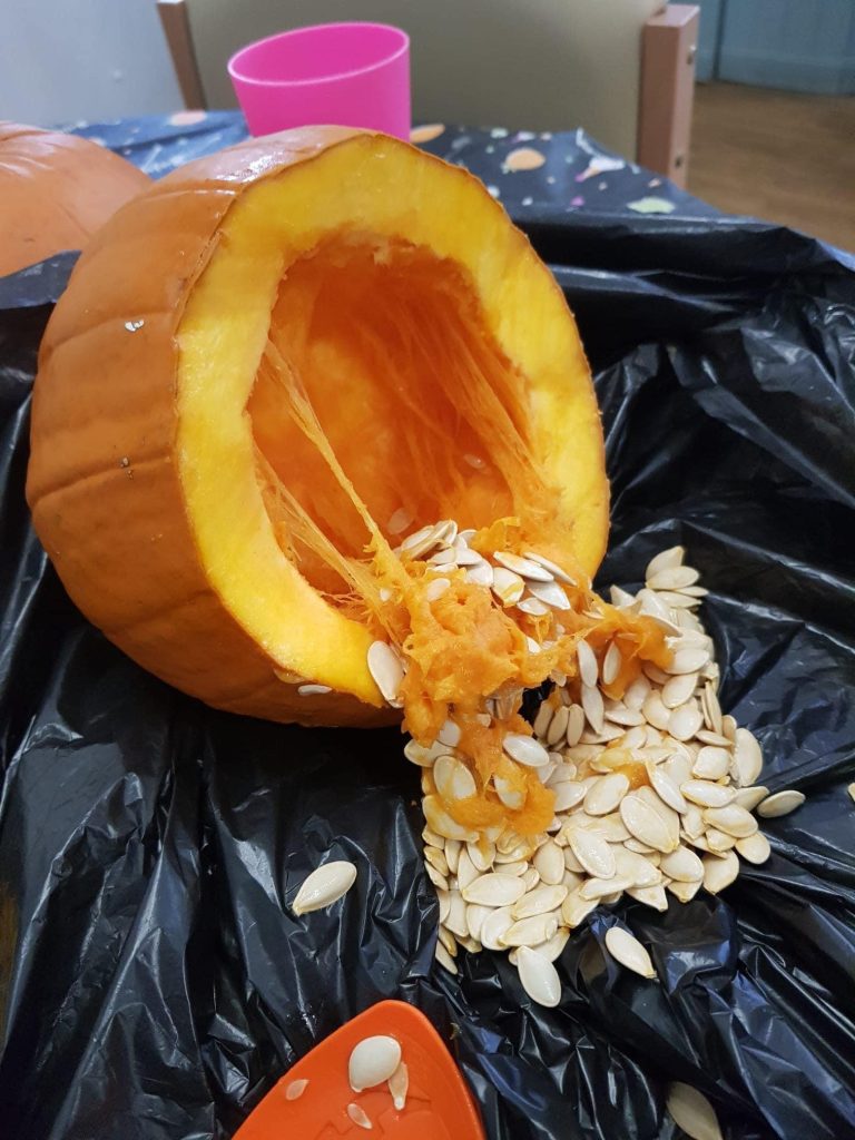 Pumpkin